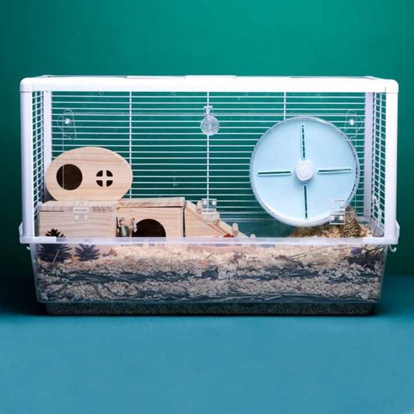 Acrylic Cute Running Silent Wheel Tiny Lovable Pets - Picture 6 of 15